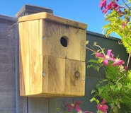 Style Birds