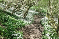 Based in Gloucester UK