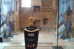 Based in Gloucester UK