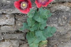 Based in Gloucester UK