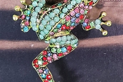 Multi coloured crystal frog