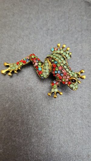 Multi coloured crystal frog