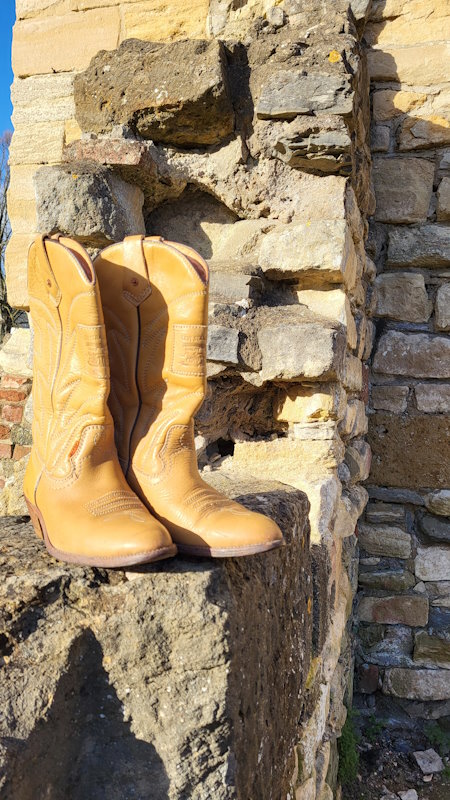 Vintage Levi Strauss Boots
