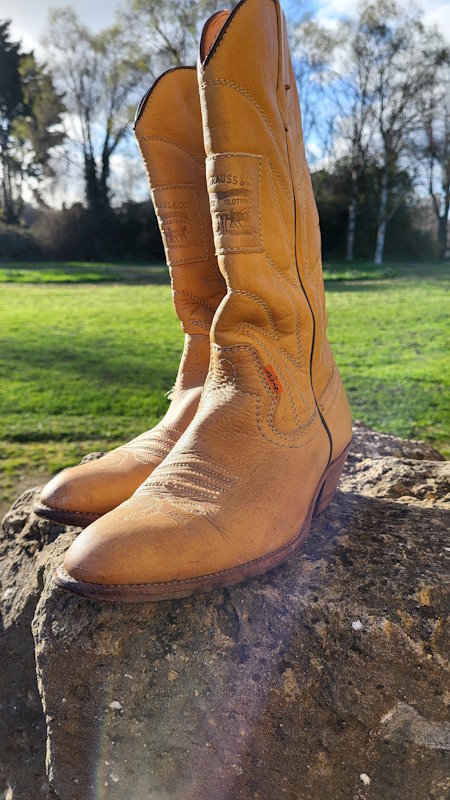 Vintage Levi Strauss Boots