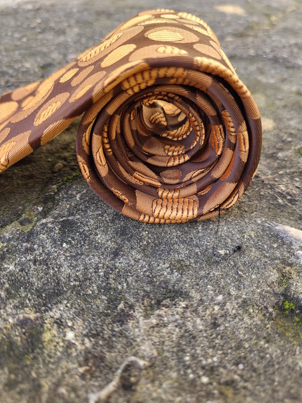 Menswear Vintage Patterned Tie.