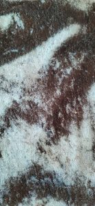 Velour Sequin Scarf