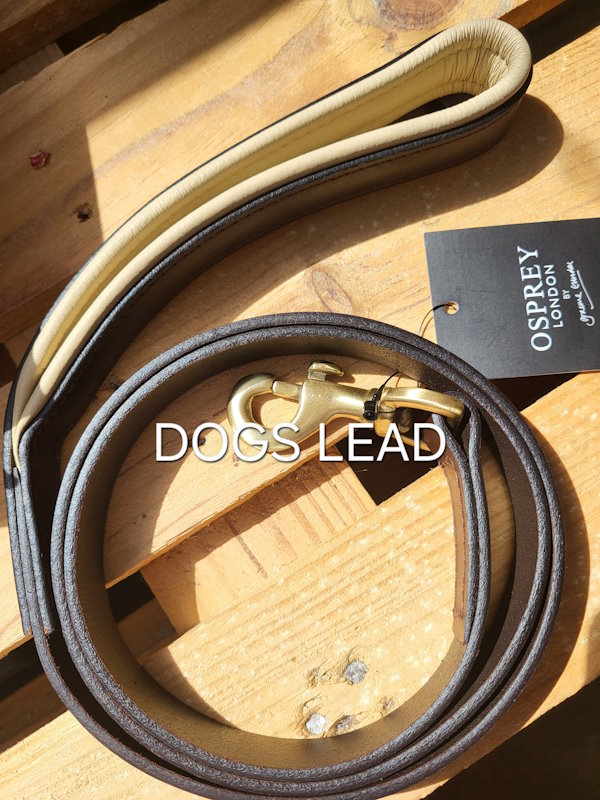 Osprey Leather Dog Lead