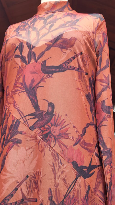 ALLSAINTS Hanna Nolina Dress